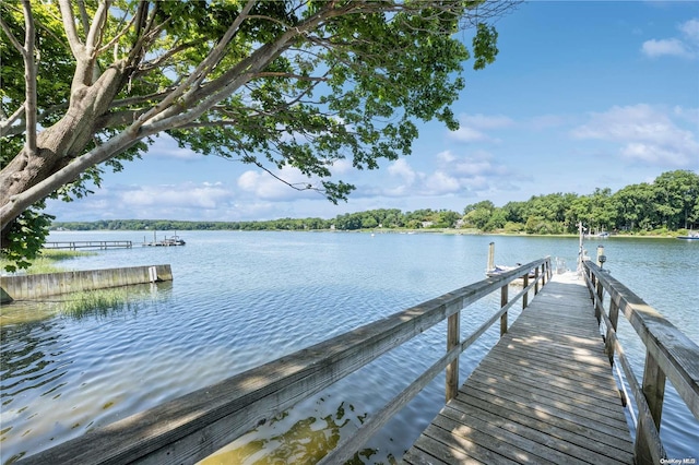 dock area featuring a water view