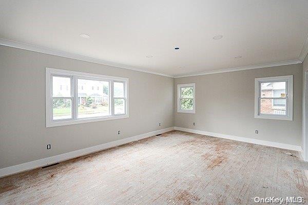 127 Berkshire Rd, Rockville Centre, NY 11570 - empty room featuring healthy amount of natural light, crown molding, and light wood-style flooring