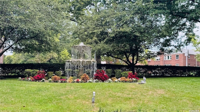84-01 Main St Unit 722, Briarwood, NY 11435 - view of green lawn