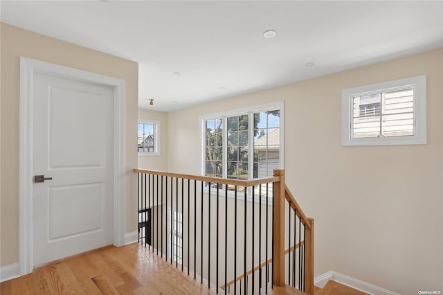 corridor with a wealth of natural light and light hardwood / wood-style flooring