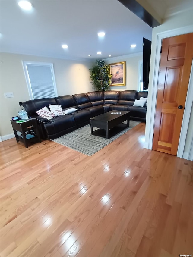 living room featuring light wood-type flooring