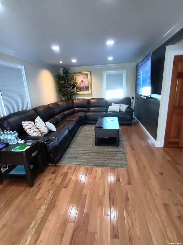 living room with hardwood / wood-style floors and ornamental molding