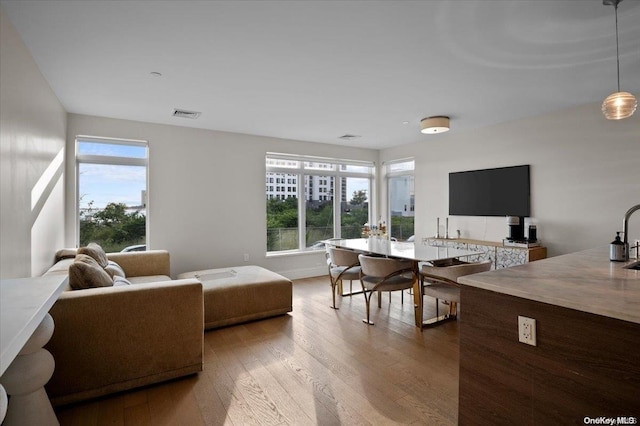 living room featuring a healthy amount of sunlight and hardwood / wood-style flooring