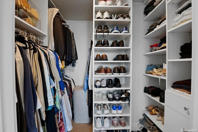 spacious closet featuring hardwood / wood-style floors