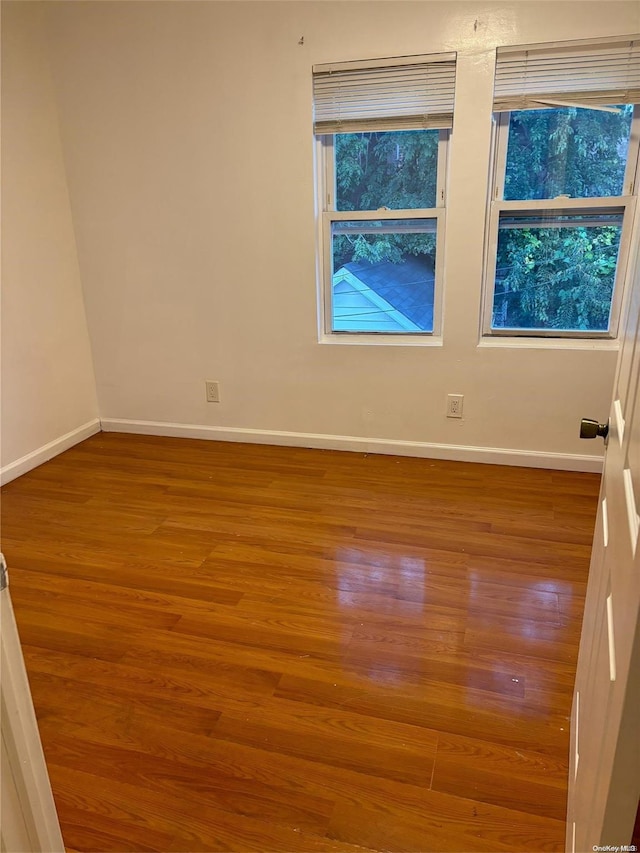 spare room with wood-type flooring