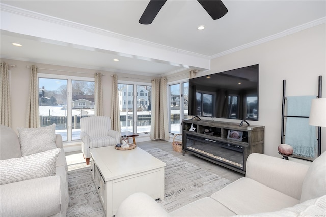 living room with ceiling fan, ornamental molding, and light wood-type flooring