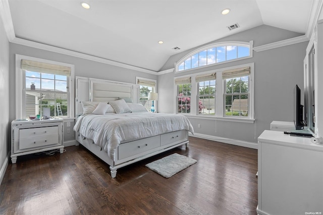 bedroom featuring multiple windows, dark wood-type flooring, and lofted ceiling