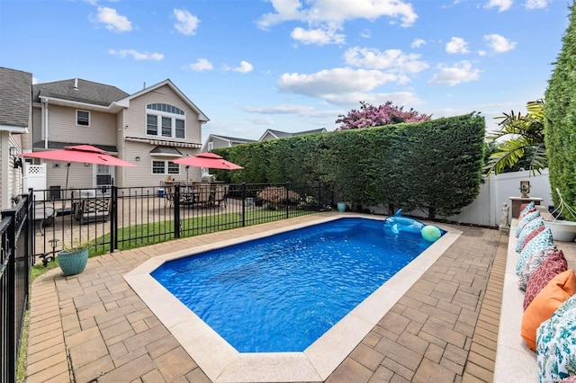 view of pool featuring a patio