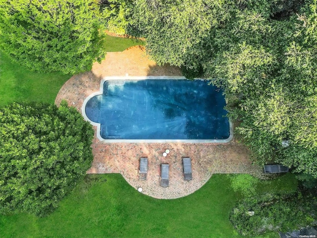 view of swimming pool featuring a yard