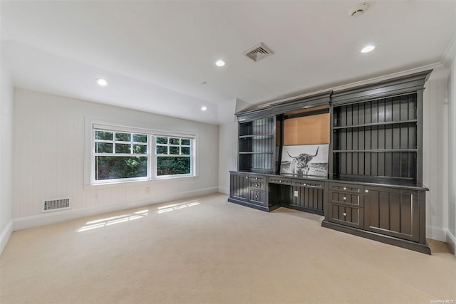 unfurnished office featuring light colored carpet