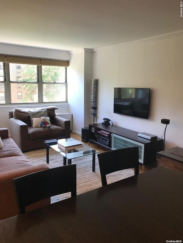 102-10 66th Rd Unit 4G, Forest Hills, NY 11375 - living room featuring wood-type flooring and crown molding