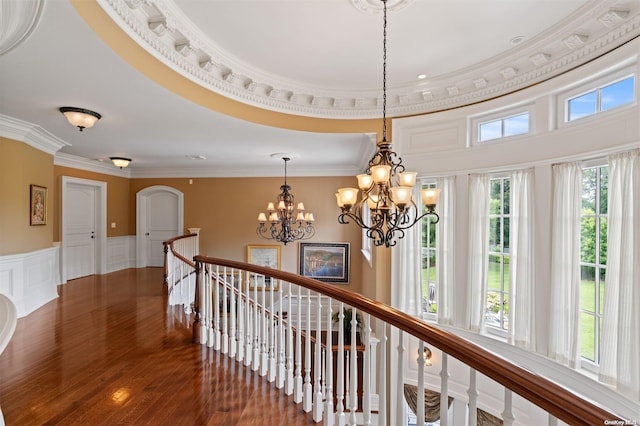 corridor with dark hardwood / wood-style floors, a healthy amount of sunlight, and ornamental molding