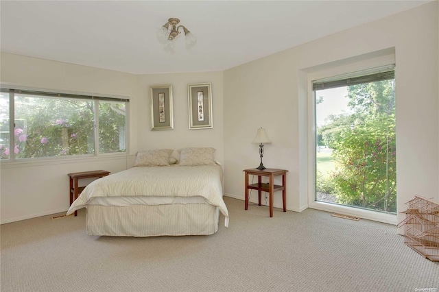 bedroom featuring carpet and multiple windows