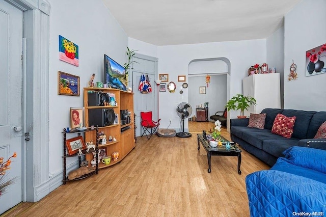 living room featuring light wood-type flooring