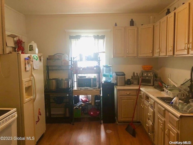 kitchen featuring dark hardwood / wood-style floors, white appliances, and sink