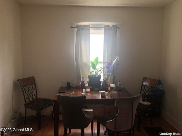 dining room featuring wood-type flooring