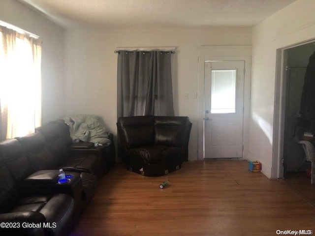 living room featuring hardwood / wood-style floors, a textured ceiling, and a healthy amount of sunlight