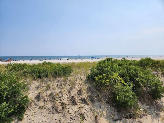 water view featuring a beach view