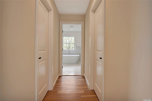 hall featuring light hardwood / wood-style floors