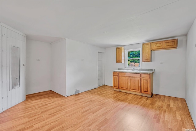 kitchen featuring light hardwood / wood-style flooring and sink