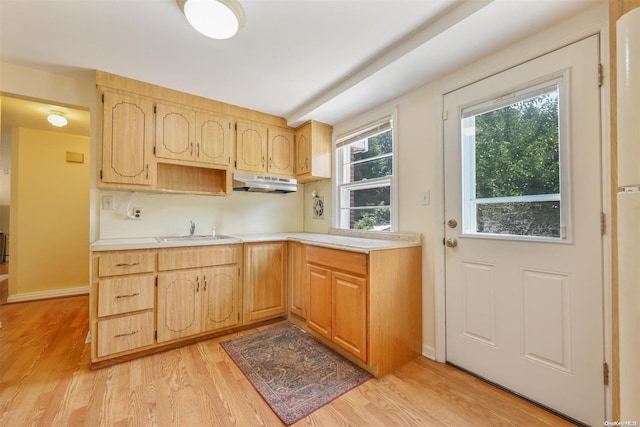 kitchen with light brown cabinetry, light hardwood / wood-style flooring, and sink