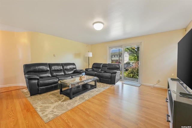 living room with hardwood / wood-style flooring