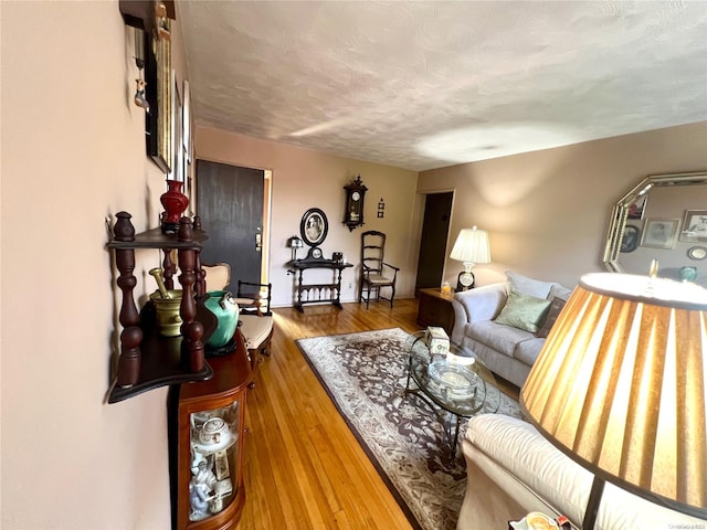 living room featuring a textured ceiling and hardwood / wood-style flooring