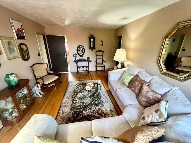 living room with wood-type flooring