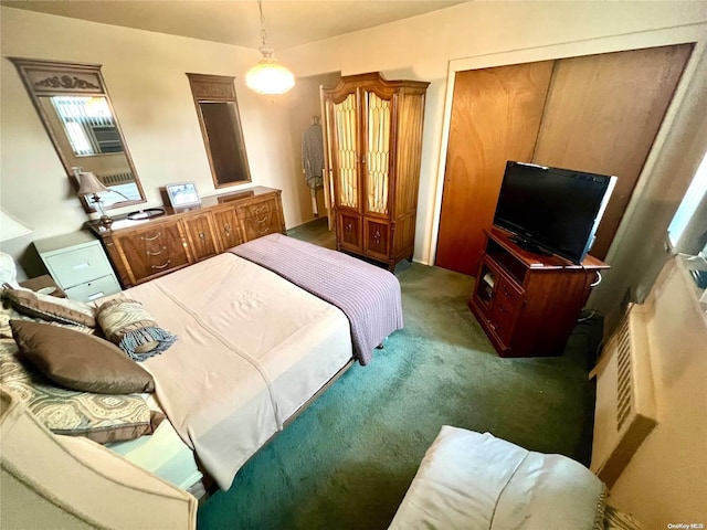 carpeted bedroom featuring a closet