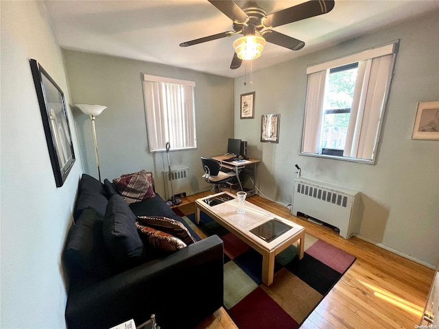 living room featuring ceiling fan, radiator heating unit, and light hardwood / wood-style flooring