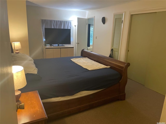 bedroom featuring carpet floors