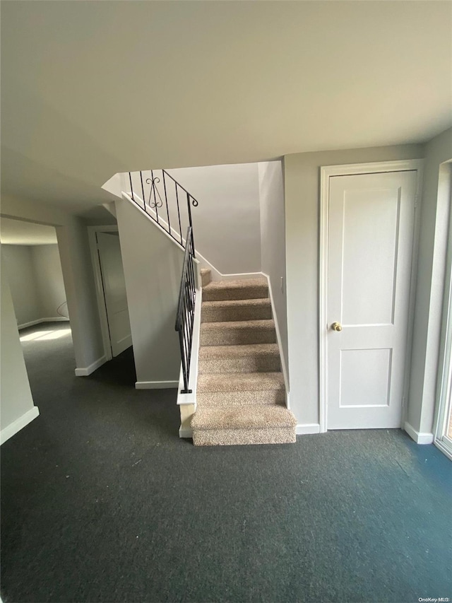 stairway featuring carpet floors