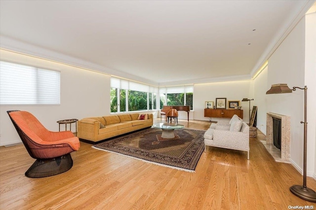 living room featuring light hardwood / wood-style floors and crown molding