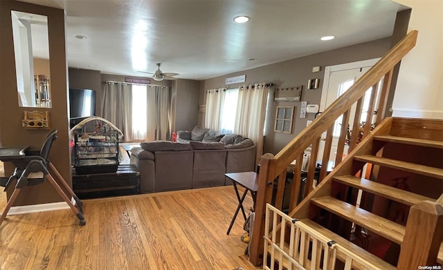 living room with ceiling fan and light wood-type flooring