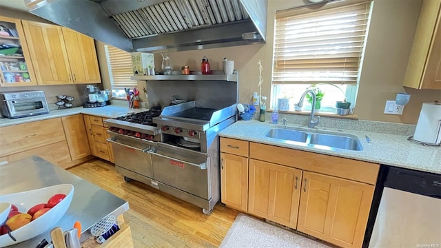 kitchen with dishwasher, light brown cabinetry, light wood-type flooring, and sink