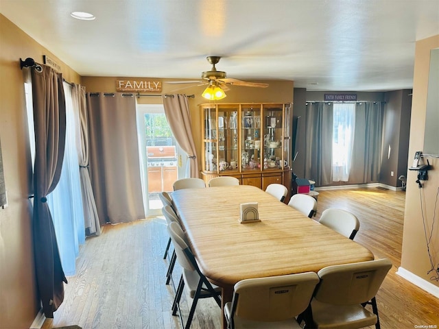 dining room with ceiling fan and light hardwood / wood-style floors