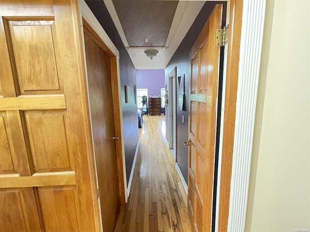 hall featuring wood-type flooring