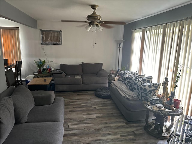 living room with ceiling fan and dark hardwood / wood-style flooring