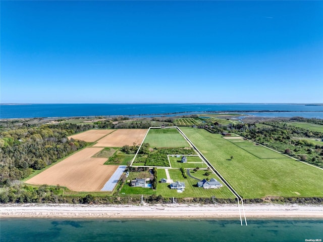 drone / aerial view with a water view and a view of the beach