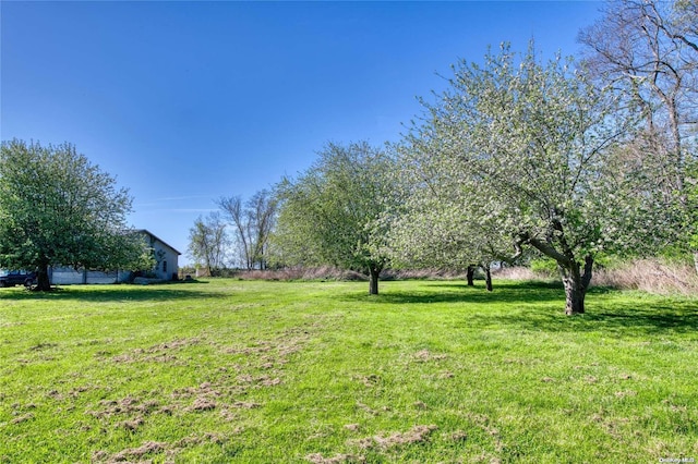 1110 Terry Ln, Orient, NY 11957 - photo 17