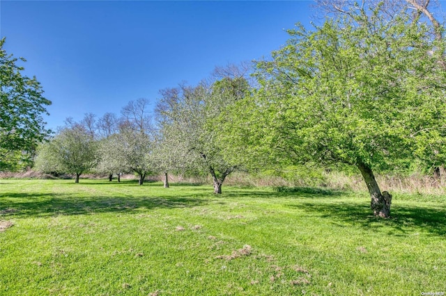 1110 Terry Ln, Orient, NY 11957 - photo 20