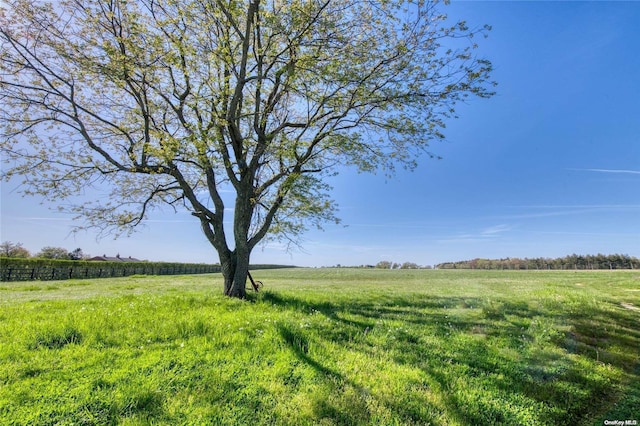 view of yard featuring a rural view