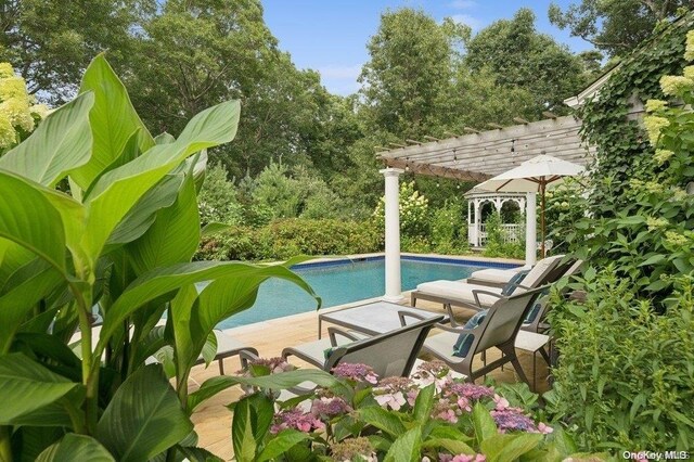 view of swimming pool with a pergola