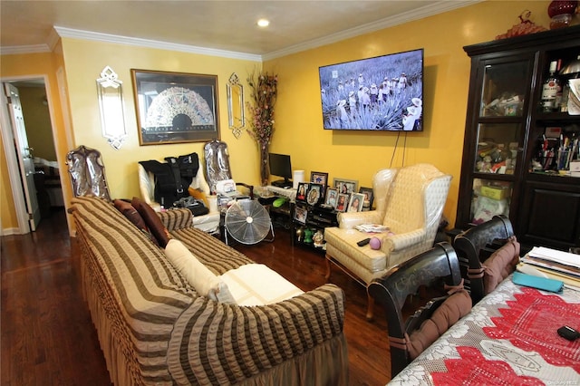 living area featuring dark hardwood / wood-style floors and crown molding