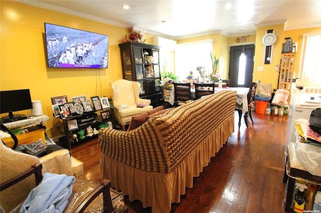 living room with dark hardwood / wood-style flooring, crown molding, and plenty of natural light