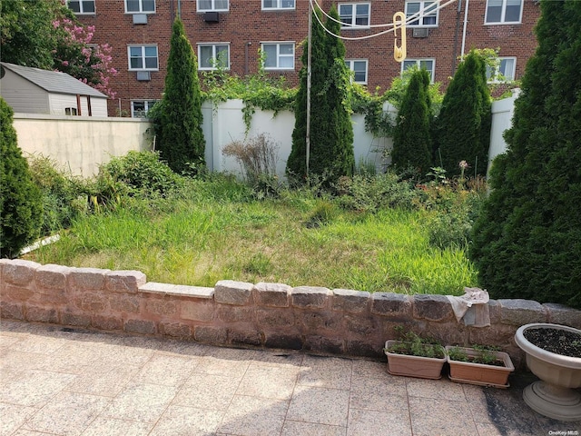 view of yard featuring a patio area