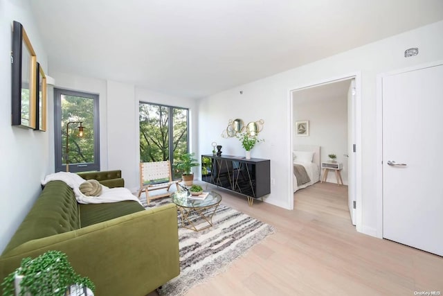 living room with light hardwood / wood-style floors