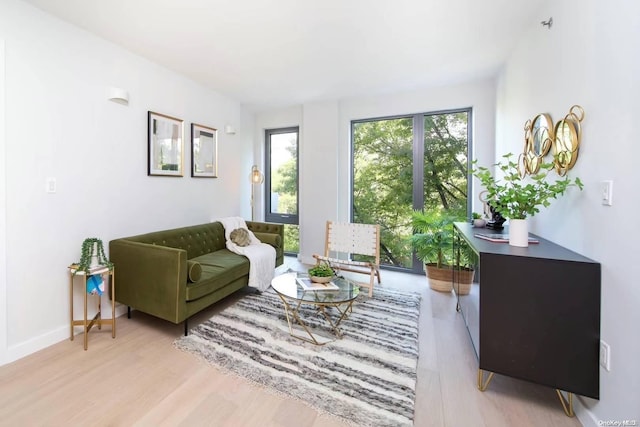 living room with light hardwood / wood-style flooring