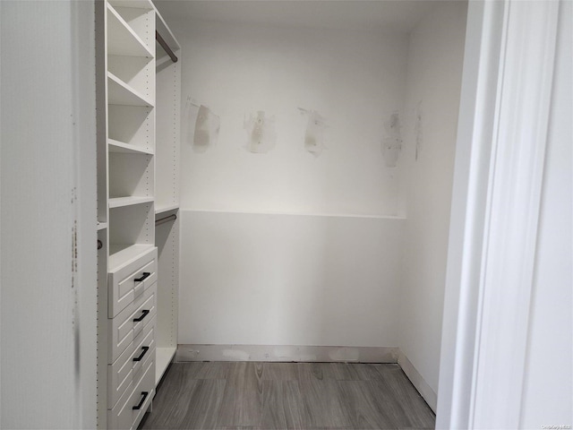 walk in closet with hardwood / wood-style floors