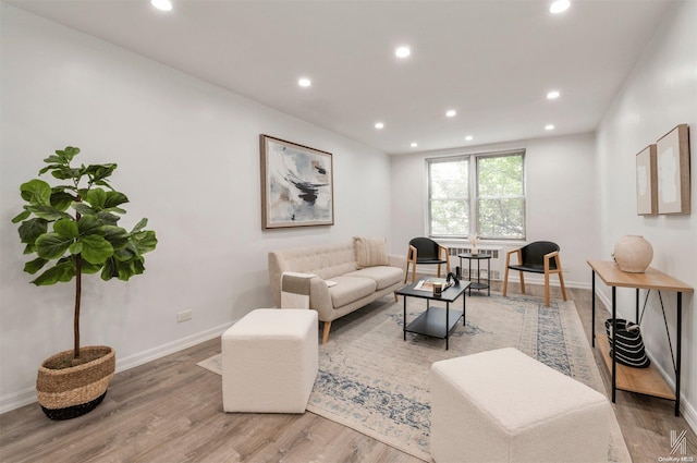 living room with wood-type flooring